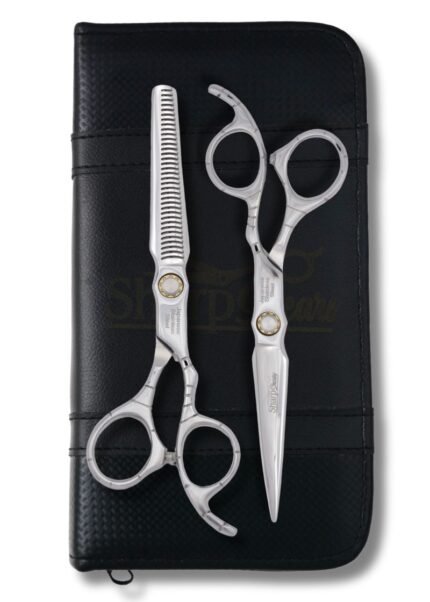 Professional silver hair shears set with case, including cutting and thinning scissors